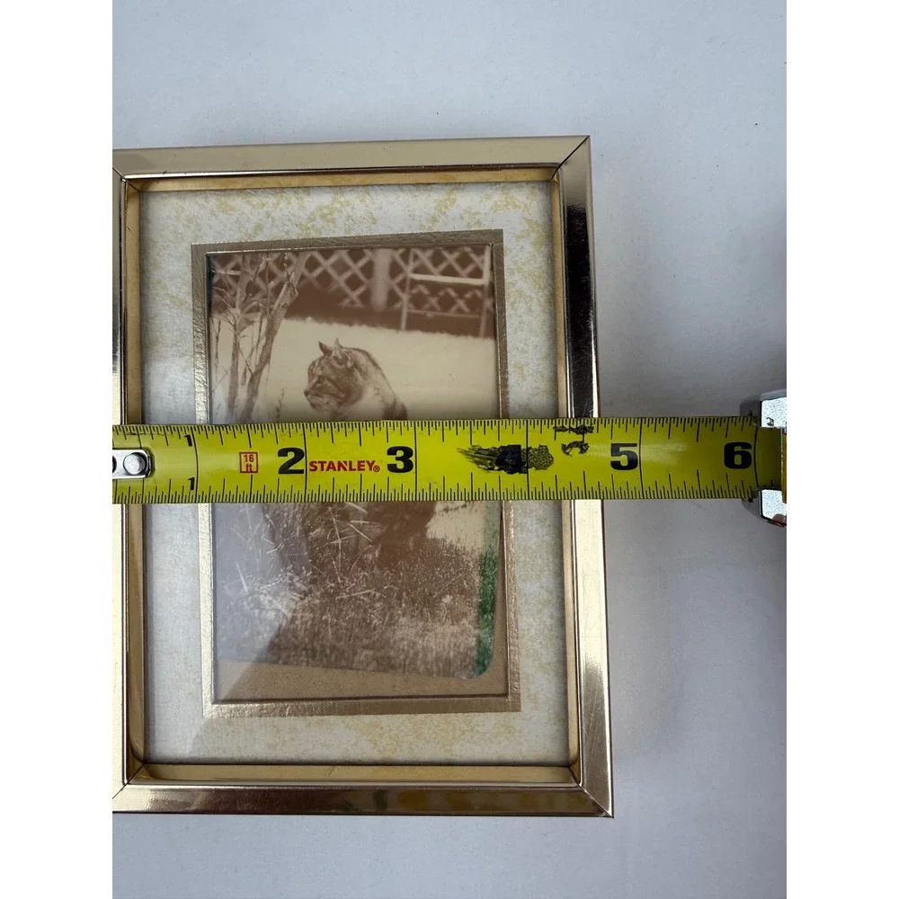 Vintage Sepia Cat Print in‎ Gold Tone Metal Picture Frame 4.75 x 6.25